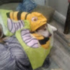 Meet your Posher, Tracy